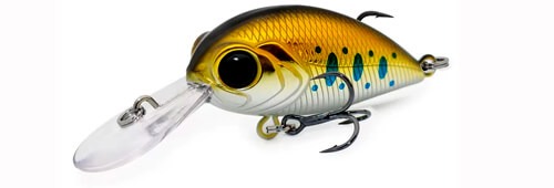 Копия Pontoon 21 Hypnose 38F MDR