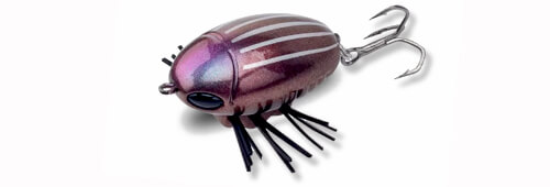 Копия Sakura Notobug
