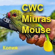 Копия CWC Miuras Mouse Big на спиннинге 