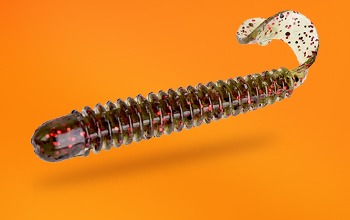 Копия Reins G-Tail Saturn для записи
