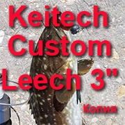 Рыба копию Keitech Custom Leech