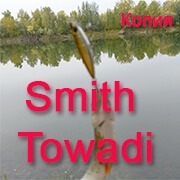 Плотва на копию Smith Towadi